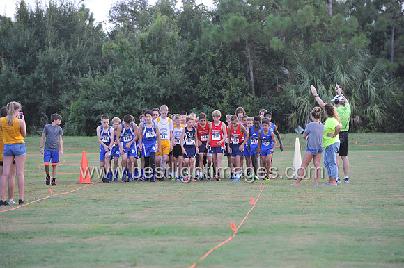 UTL2016_MS_016