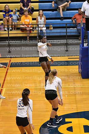 MCHSJVVB082019_094