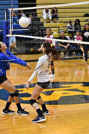 MCHSJVVB082019_262