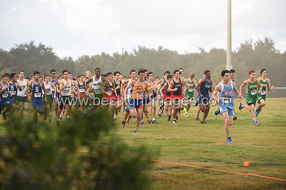 UTL2016_BJV_010