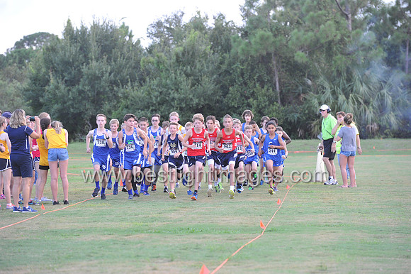 UTL2016_MS_021
