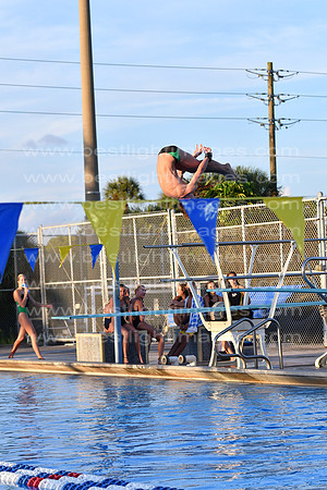 MCHSDIVING091718_315
