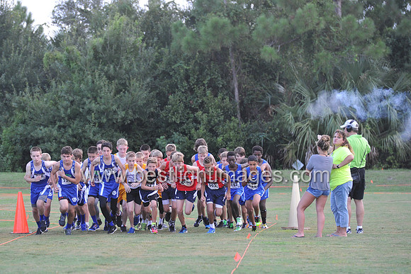 UTL2016_MS_019