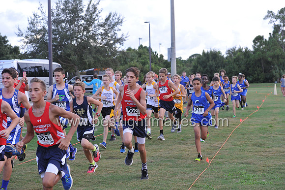 UTL2016_MS_039