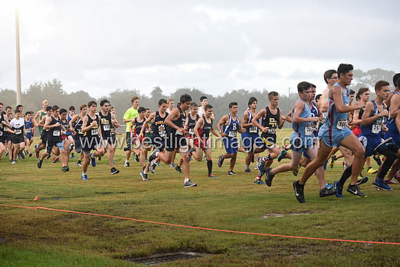 UTL2016_BJV_017