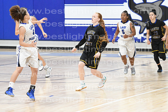 MCHSLTVARBB012317_250