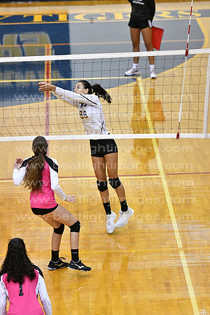 MCHSJVVB082019_017