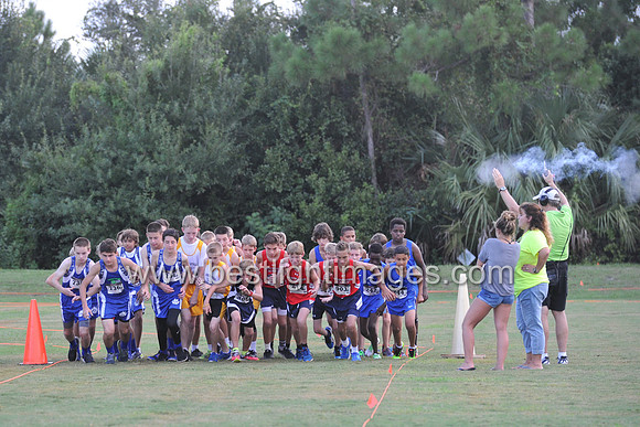 UTL2016_MS_017