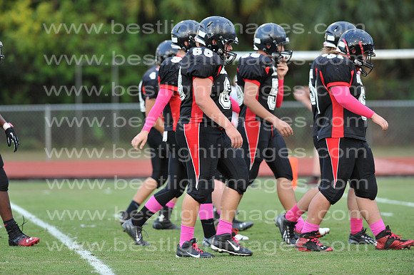 MCHSJVFB102314_202