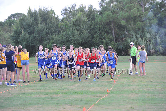 UTL2016_MS_022