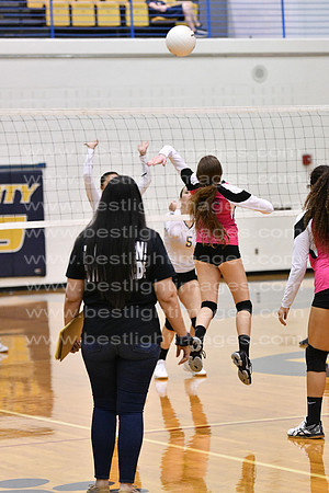 MCHSJVVB082019_166