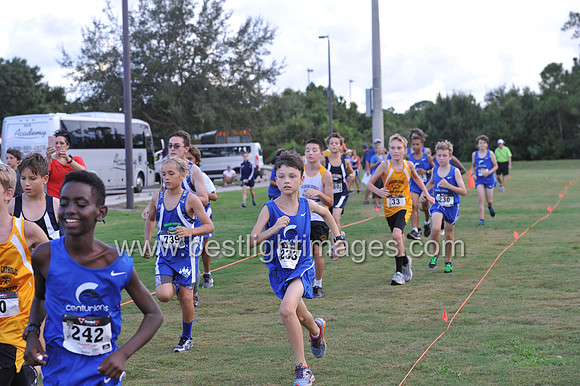 UTL2016_MS_042