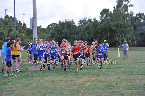 UTL2016_MS_029