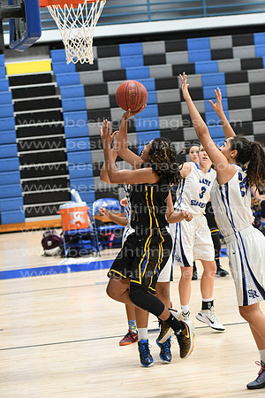 MCHSLTVARBB012317_270