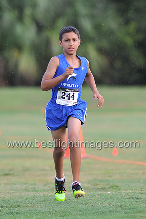 UTL2016_MS_005