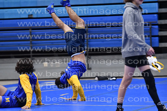MCHSWRESTLING12122_289