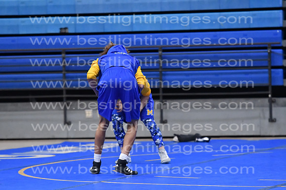 MCHSWRESTLING12122_286