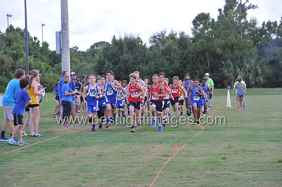 UTL2016_MS_025