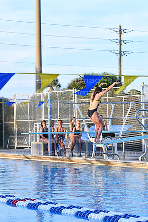 MCHSDIVING091718_260