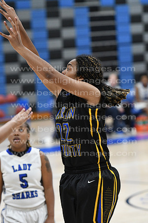 MCHSLTVARBB012317_244