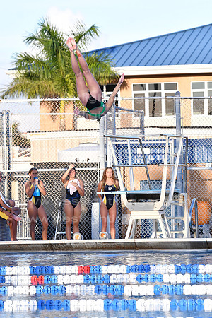 MCHSDIVING091718_088