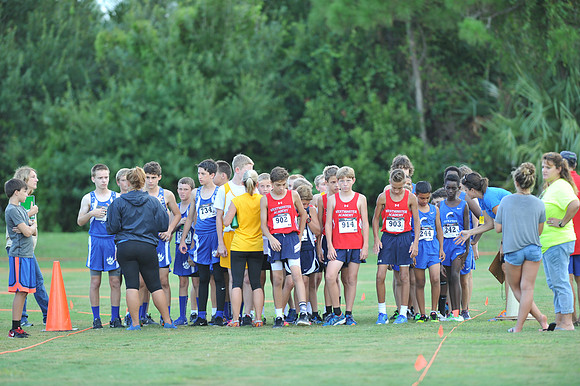 UTL2016_MS_006