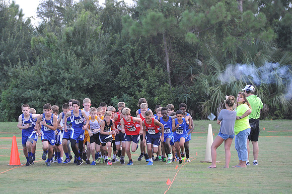 UTL2016_MS_019