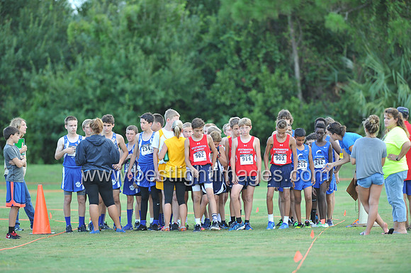 UTL2016_MS_006
