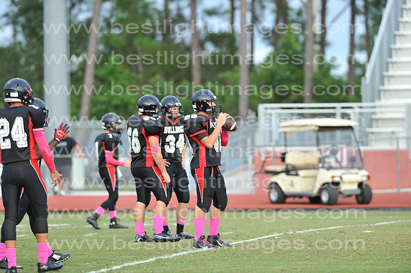 MCHSJVFB102314_013