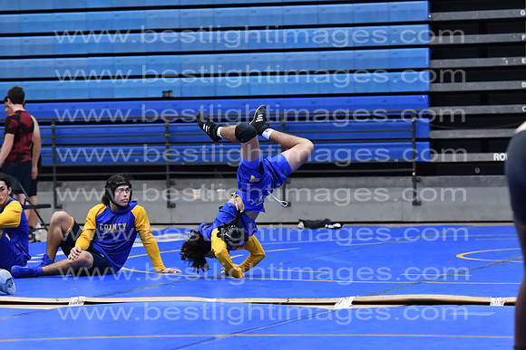MCHSWRESTLING12122_295