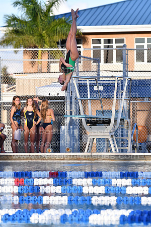 MCHSDIVING091718_027