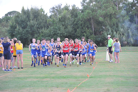 UTL2016_MS_021