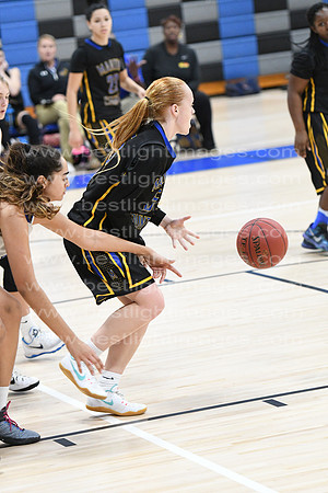 MCHSLTVARBB012317_314