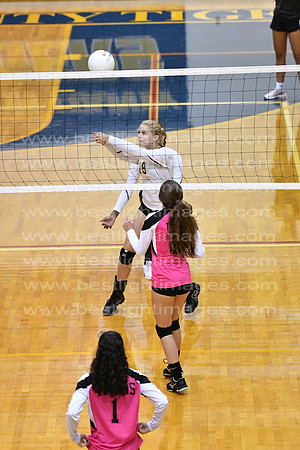 MCHSJVVB082019_022