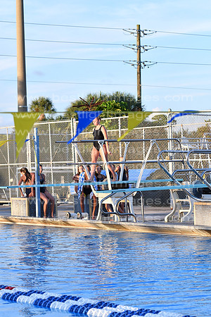 MCHSDIVING091718_297
