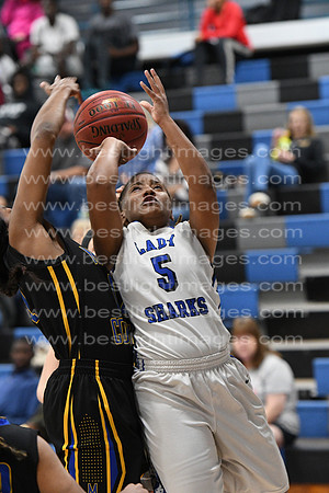 MCHSLTVARBB012317_031
