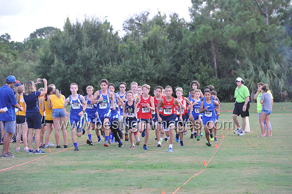 UTL2016_MS_024