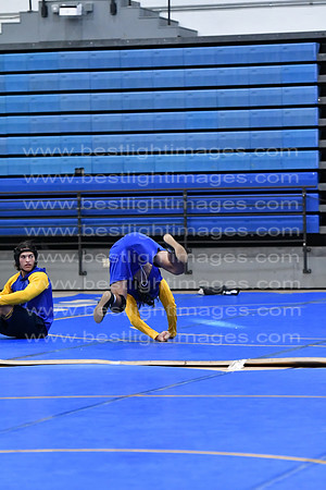 MCHSWRESTLING12122_298