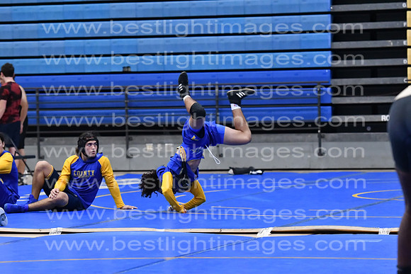 MCHSWRESTLING12122_296