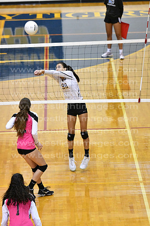 MCHSJVVB082019_016