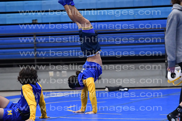 MCHSWRESTLING12122_290
