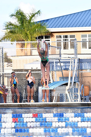 MCHSDIVING091718_083