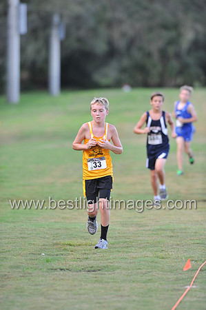 UTL2016_MS_080