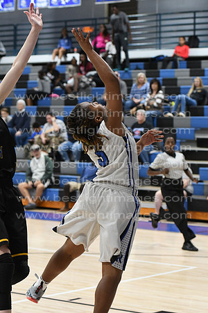 MCHSLTVARBB012317_029