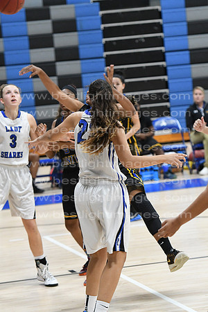 MCHSLTVARBB012317_248