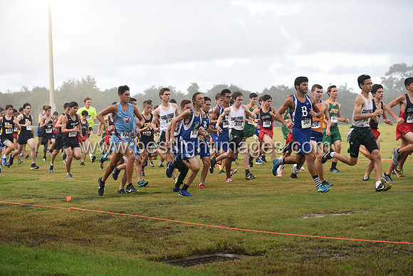 UTL2016_BJV_015