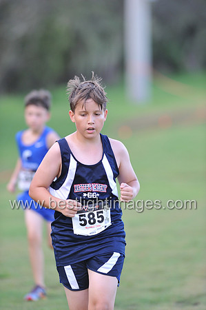 UTL2016_MS_077