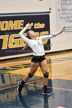 MCHSJVVB082019_229