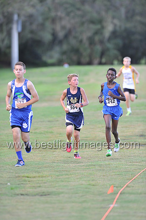 UTL2016_MS_064